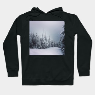 A Landscape for Meditation and Skiing Hoodie